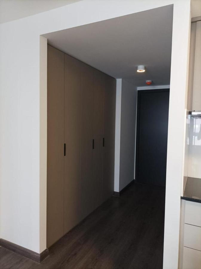 Apartamento A Estrenar En Punta Carretas Μοντεβιδέο Εξωτερικό φωτογραφία